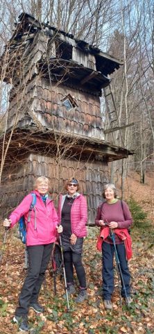 Fotografie 123_original.jpg