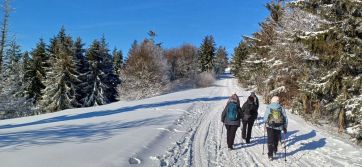 Fotografie 15_original.jpg