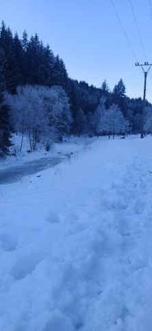 Fotografie img-20260121-wa0002_original.jpg