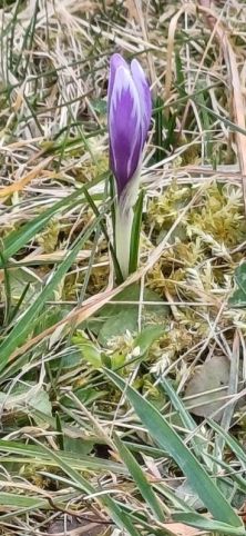 Fotografie img-20260317-wa0034_original.jpg