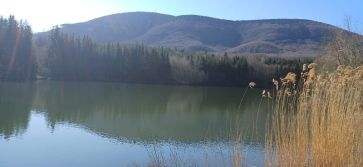 Fotografie img-20260407-wa0015_original.jpg