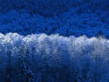 Fotogalerie Zimní fotografie, foto č. 14